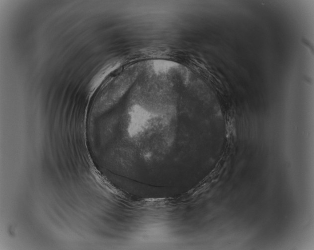 X0000100850052200807181105