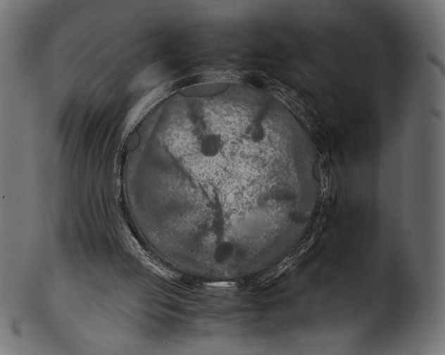 X0000100850053200807181105