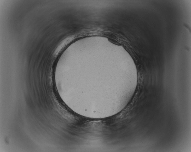 X0000100850054200807181105