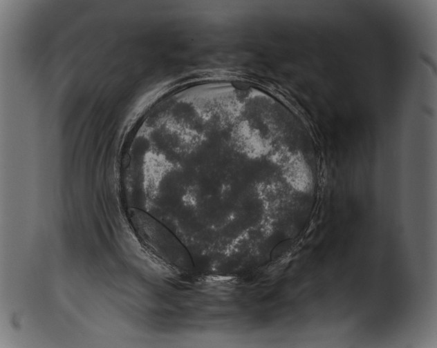 X0000100850055200807181105