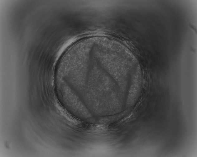 X0000100850056200807181105