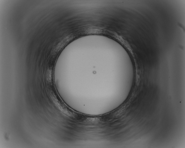X0000100850057200807181105