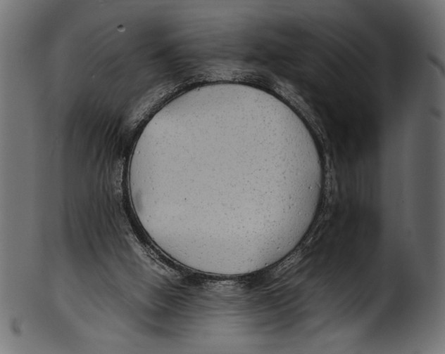 X0000100850058200807181105