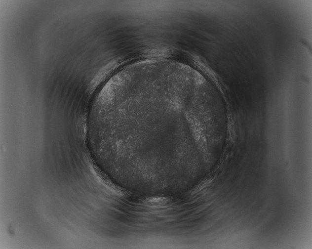 X0000100850059200807181105