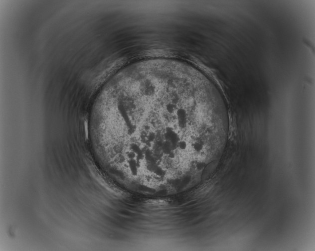 X0000100850061200807181105