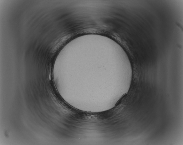 X0000100850062200807181105