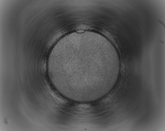 X0000100850063200807181105