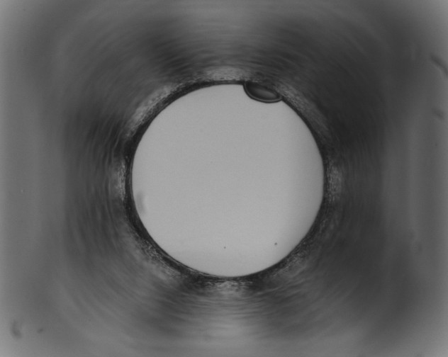 X0000100850064200807181105