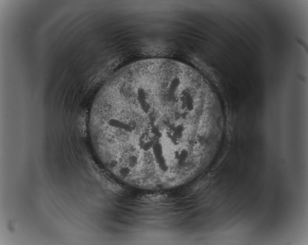 X0000100850065200807181106