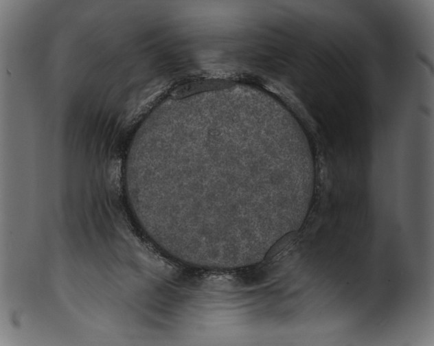 X0000100850066200807181106