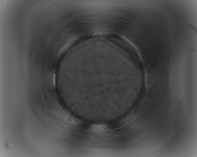 X0000100850067200807181106