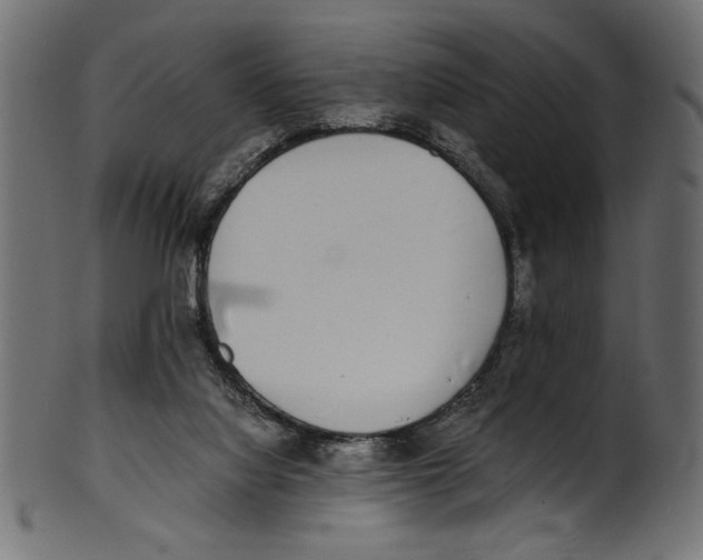 X0000100850068200807181106