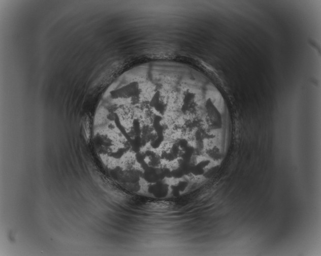 X0000100850069200807181106