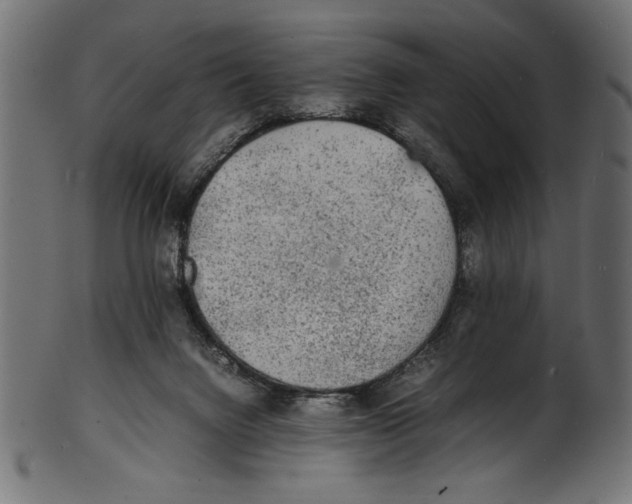 X0000100850072200807181106