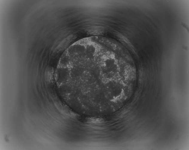 X0000100850073200807181106