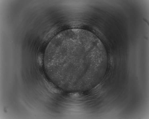 X0000100850074200807181106