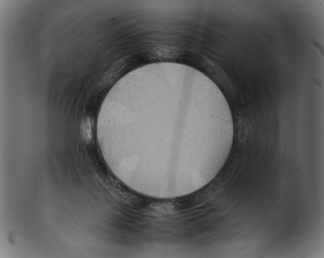 X0000100850075200807181106