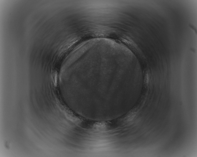 X0000100850076200807181106