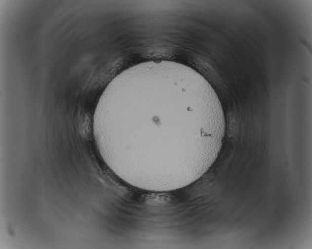 X0000100850077200807181106