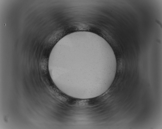 X0000100850078200807181106