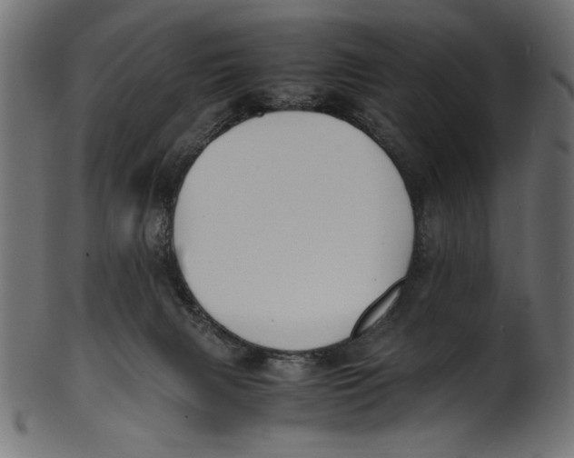 X0000100850079200807181106