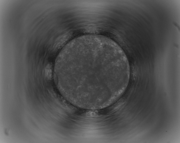 X0000100850080200807181106