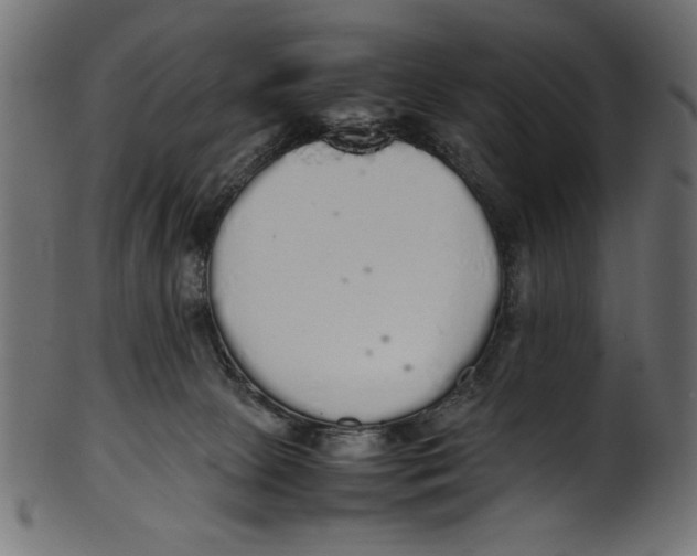 X0000100850081200807181106
