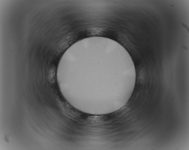 X0000100850082200807181106