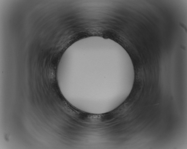 X0000100850084200807181106
