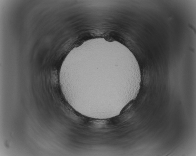 X0000100850085200807181106