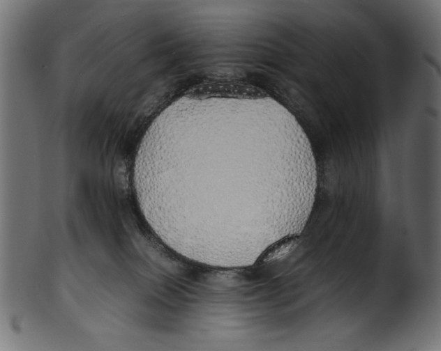 X0000100850086200807181106