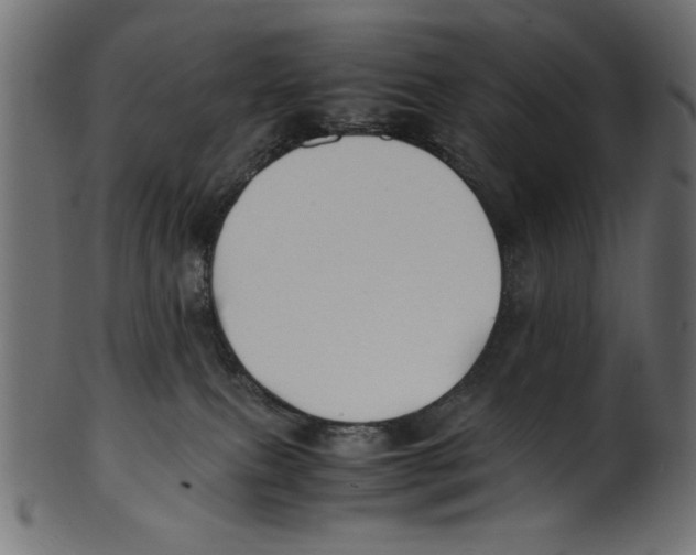 X0000100850087200807181106