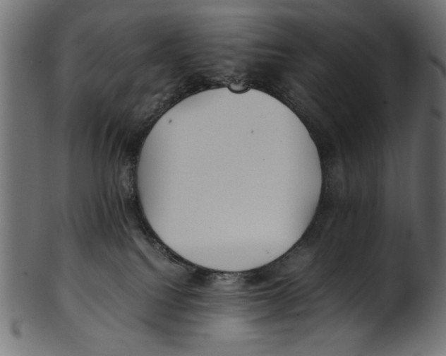 X0000100850088200807181106