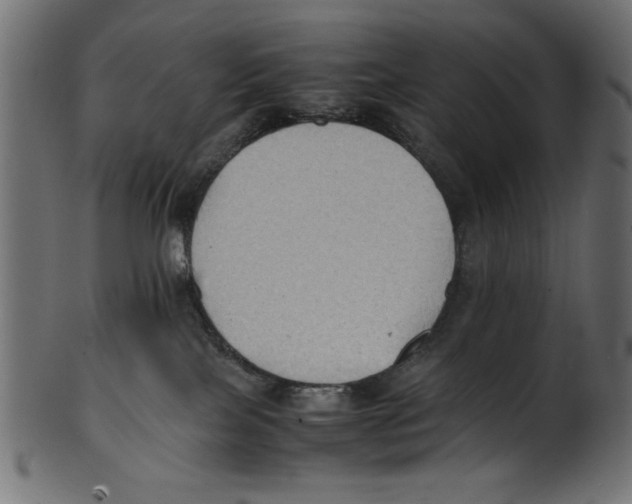 X0000100850089200807181106