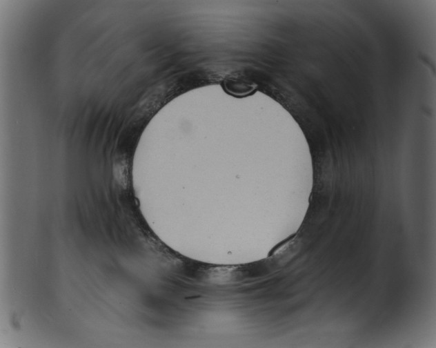 X0000100850090200807181106