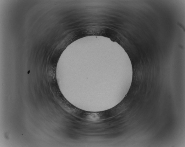 X0000100850091200807181106