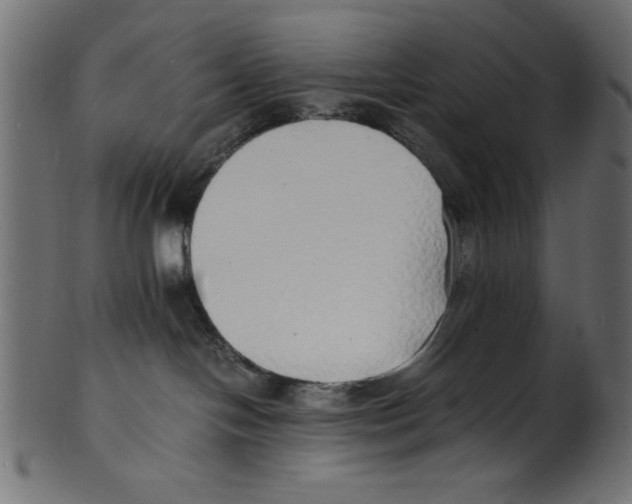 X0000100850094200807181106
