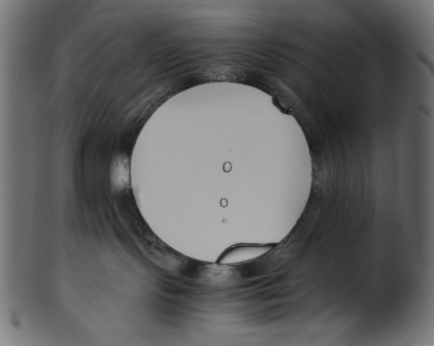 X0000100850095200807181106