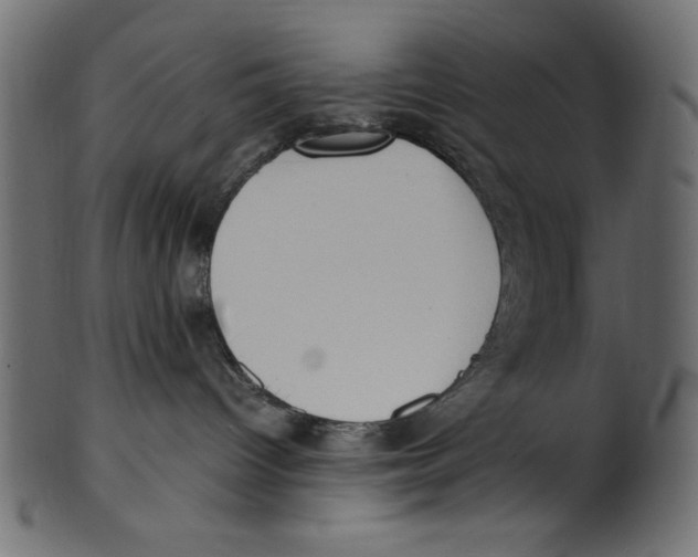 X0000100850096200807181106