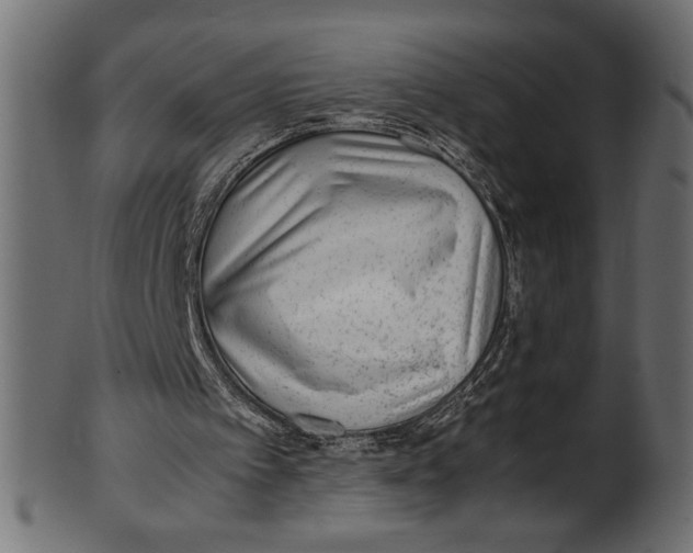 X0000100850097200807181105
