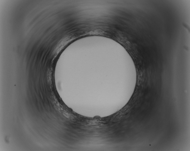 X0000100850098200807181105