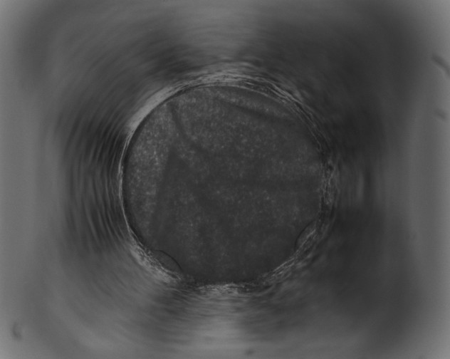 X0000100850100200807181105