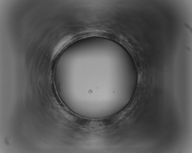 X0000100850101200807181105