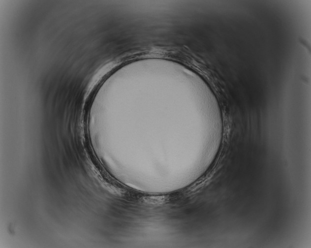 X0000100850102200807181105