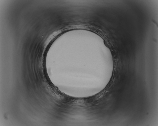 X0000100850104200807181105