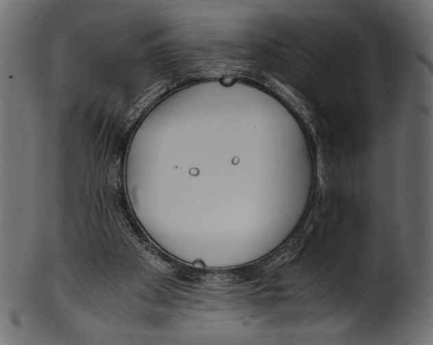 X0000100850105200807181105