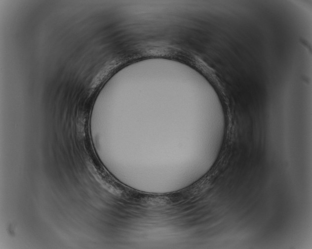 X0000100850106200807181105