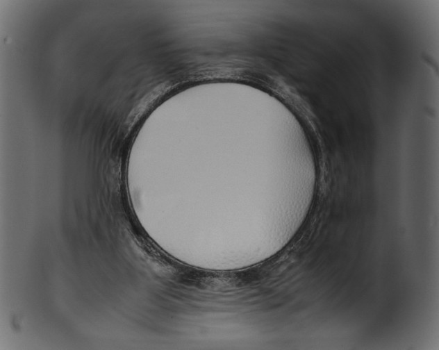 X0000100850107200807181105