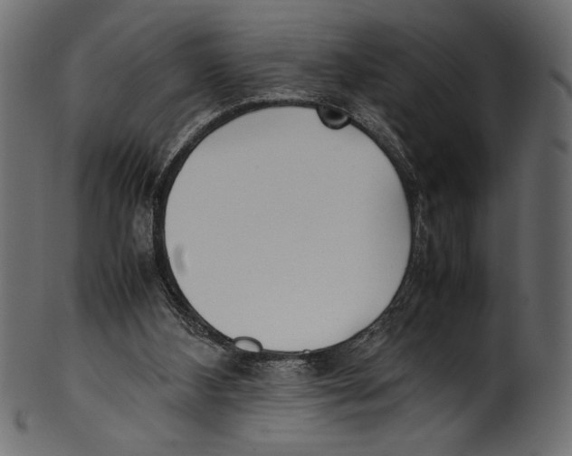 X0000100850108200807181105