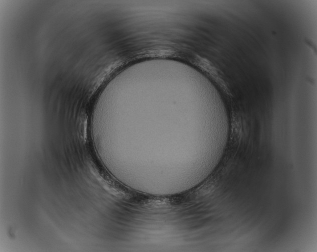 X0000100850110200807181105